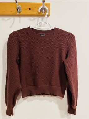 ICON Women's Rich Brown Crew Neck Sweater
